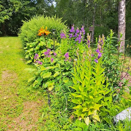 Alpehytte Peaceful Riverside With Sauna Myllykylae